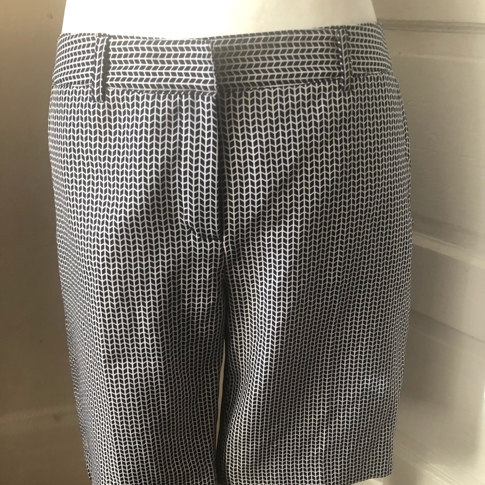 🆕 Sport Haley Performance Shorts